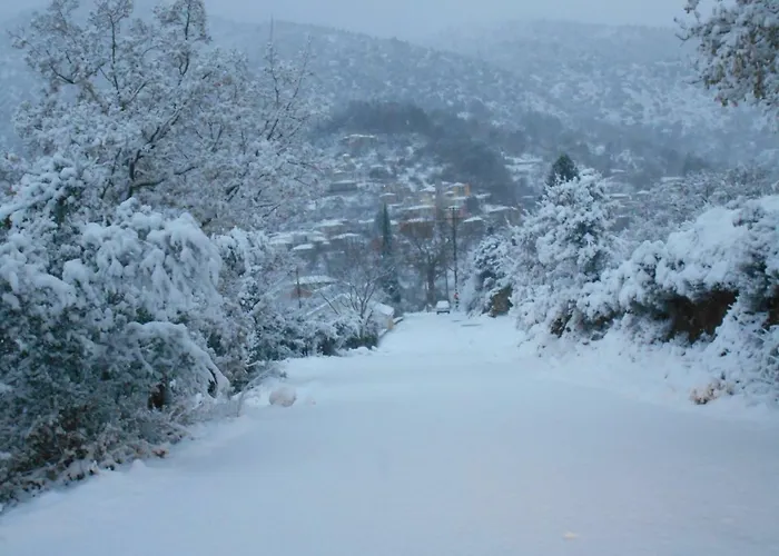 Semesterbostad Wanderer's *