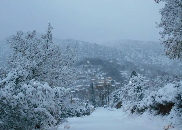 Semesterbostad Wanderer's